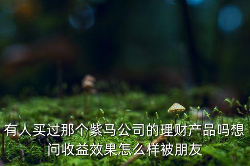 紫馬財富什么時間，有人買過那個紫馬公司的理財產(chǎn)品嗎想問收益效果怎么樣被朋友