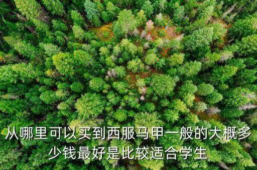 什么牌子賣西裝馬甲，什么牌子的西裝馬甲好