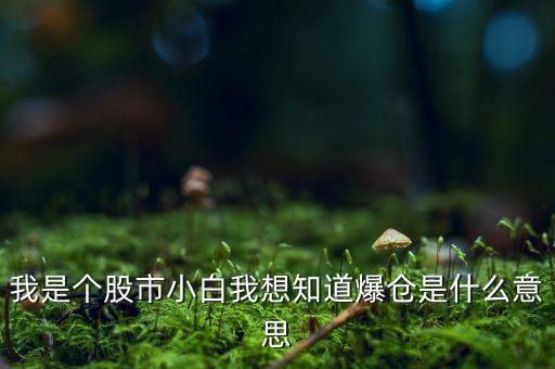 我是個股市小白我想知道爆倉是什么意思
