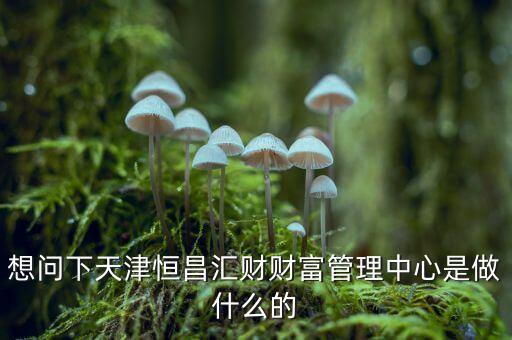 財富管理中心是什么，想問下天津恒昌匯財財富管理中心是做什么的