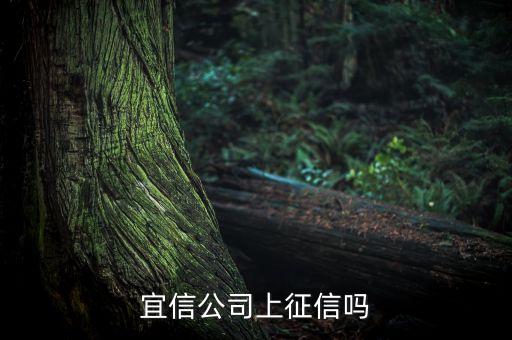 宜信為什么不上征信，在宜信和你我貸都有借錢怎么征信查不到