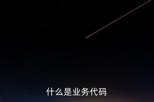 工商業(yè)務(wù)代碼是什么意思，businesscode是啥意思