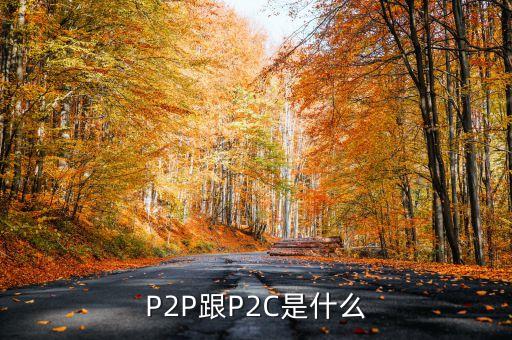 p2c平臺(tái)是什么，什么是P2P什么是P2C