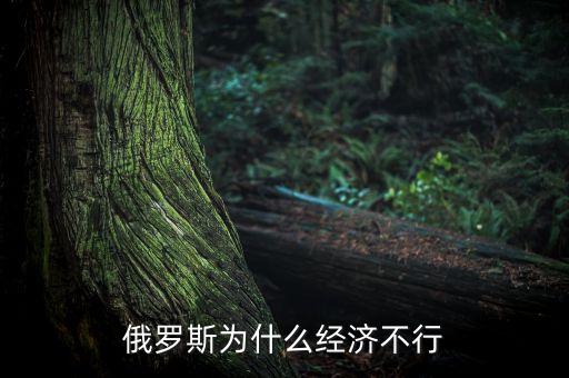 為什么俄羅斯經(jīng)濟(jì)發(fā)展不起來，俄羅斯為什么經(jīng)濟(jì)不行