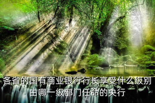 招商銀行行長什么級別，各省的國有商業(yè)銀行行長享受什么級別由哪一級部門任命的央行
