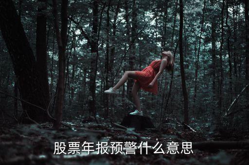 股票出年報什么意思，股票年報預警什么意思