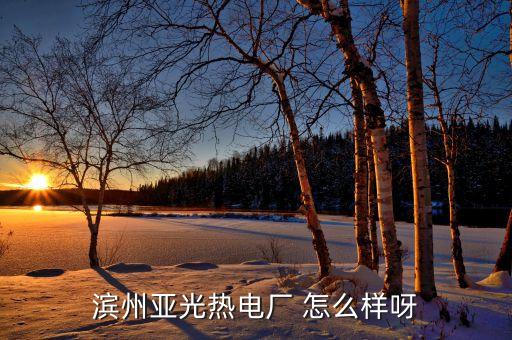 濱州亞光單位性質(zhì)是什么，濱州亞光熱電廠 怎么樣呀