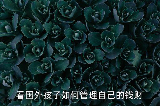在國(guó)外理財(cái)更注重注重于什么，在國(guó)外理財(cái)更注重于哪些