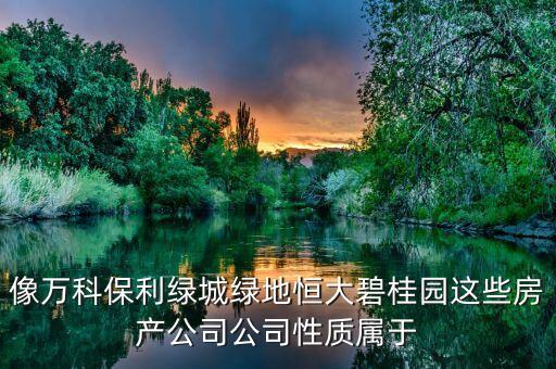像萬科保利綠城綠地恒大碧桂園這些房產公司公司性質屬于