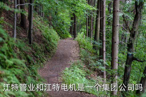 江特電機主營什么，江特電機前景