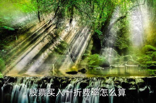 買入費(fèi)率1折是什么意思，買入費(fèi)率1折什么意思