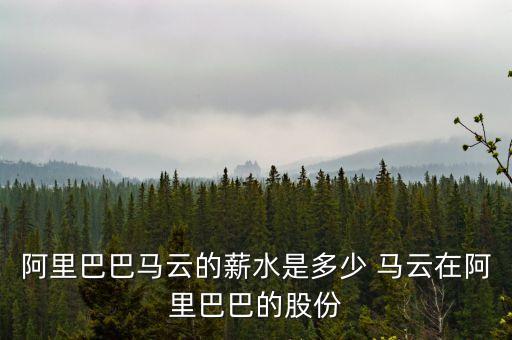 阿里巴巴為什么急于上市，比爾蓋茨不是說馬云是中國的比爾蓋茨嗎