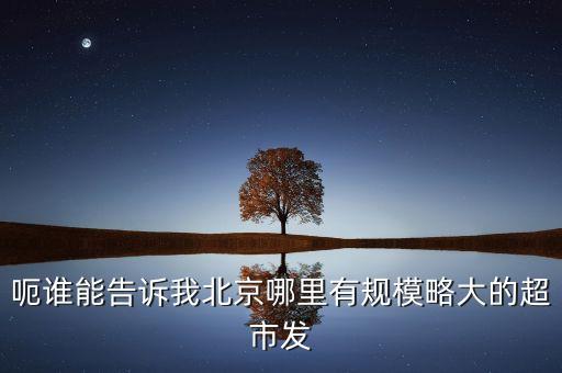 北京超市發(fā)有什么部門，呃誰能告訴我北京哪里有規(guī)模略大的超市發(fā)