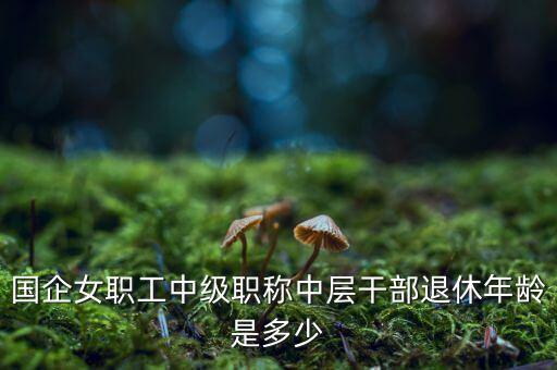國企女職工中級職稱中層干部退休年齡是多少