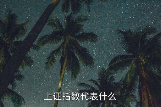 上證指數(shù)反應(yīng)了什么，證券指數(shù)代表了什么