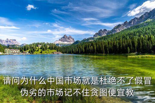 請(qǐng)問為什么中國(guó)市場(chǎng)就是杜絕不了假冒偽劣的市場(chǎng)記不住貪圖便宜教
