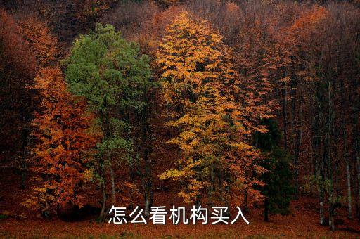 怎么看機構(gòu)買入