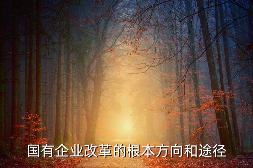 國有企業(yè)改革的根本方向和途徑