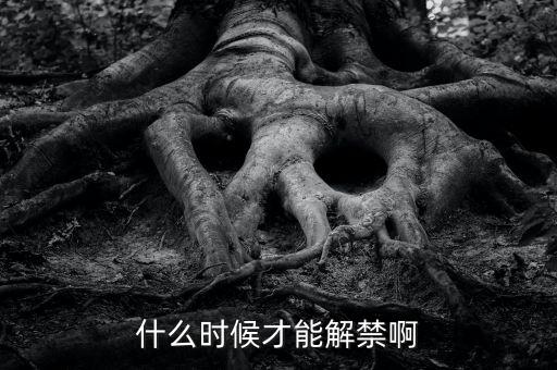 秦川機床什么時候解禁，什么時候才能解禁啊