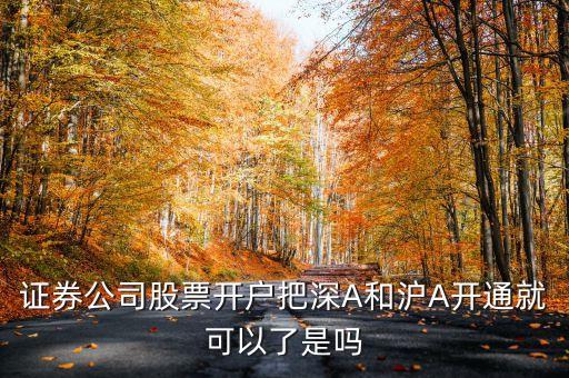 證券公司股票開(kāi)戶(hù)把深A(yù)和滬A開(kāi)通就可以了是嗎