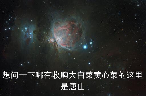 什么地方收購白菜，想問一下哪有收購大白菜黃心菜的這里是唐山
