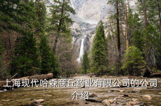 上?，F(xiàn)代哈森商丘藥業(yè)有限公司的公司介紹
