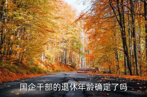 央企主要領導什么年齡退休，國企干部的退休年齡確定了嗎