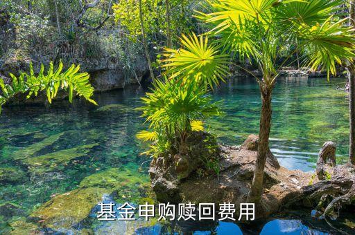 基金申購(gòu)贖回費(fèi)用