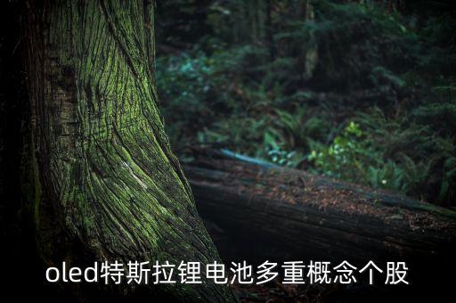 oled特斯拉鋰電池多重概念個(gè)股