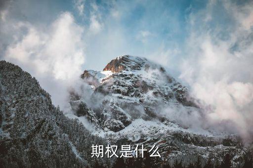 授予期權(quán)是什么意思，無(wú)償授予股票期權(quán)是什么意思