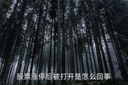 股票漲停后被打開是怎么回事