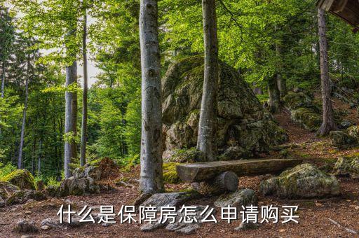 什么是保障房怎么申請(qǐng)購(gòu)買
