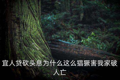 宜人貸為什么售罄，我的宜人貸為什么沒通過問題出在哪