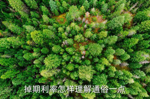 掉期利率怎樣理解通俗一點