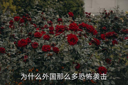 為什么外國那么多恐怖襲擊