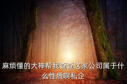 差旅天下企業(yè)是什么性質(zhì)，有沒有人知道差旅管理公司具體是做什么的