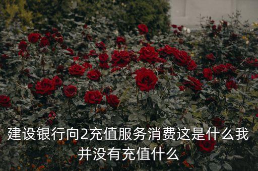 建設(shè)銀行向2充值服務(wù)消費(fèi)這是什么我并沒有充值什么