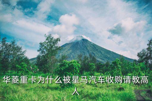華菱重卡為什么被星馬汽車收購請教高人