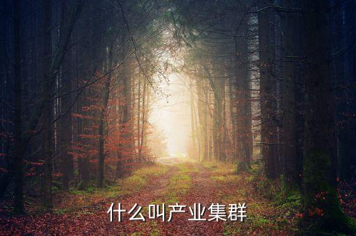 什么是文化產業(yè)集群，什么叫產業(yè)集群化