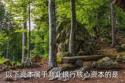 商業(yè)銀行核心資本是什么，商業(yè)銀行的核心資產(chǎn)包括哪些謝謝