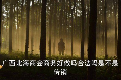 鼎固房地產(chǎn)公司汪平清是做什么的，廣西北海商會商務好做嗎合法嗎是不是傳銷