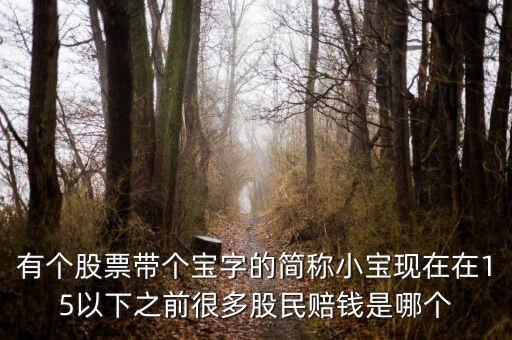 有個(gè)股票帶個(gè)寶字的簡稱小寶現(xiàn)在在15以下之前很多股民賠錢是哪個(gè)