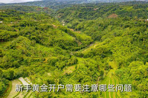 新手黃金開戶需要注意哪些問題