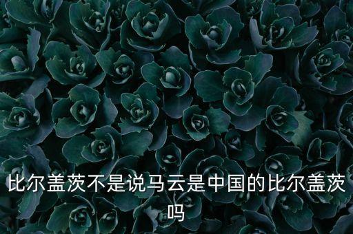 比爾蓋茨不是說(shuō)馬云是中國(guó)的比爾蓋茨嗎