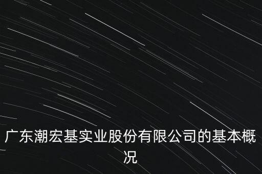 廣東潮宏基實(shí)業(yè)股份有限公司的基本概況