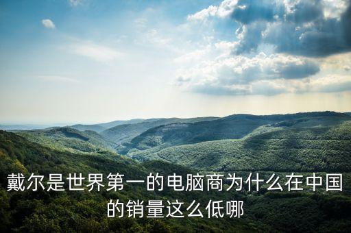 戴爾是世界第一的電腦商為什么在中國的銷量這么低哪