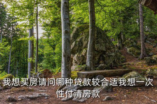 我想買房請(qǐng)問哪種貸款較合適我想一次性付清房款