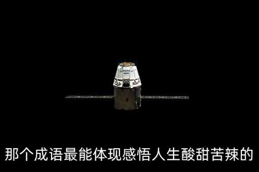 那個(gè)成語最能體現(xiàn)感悟人生酸甜苦辣的