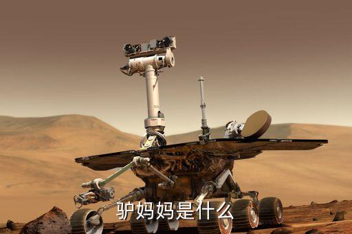 驢媽媽是什么模式，驢媽媽是什么
