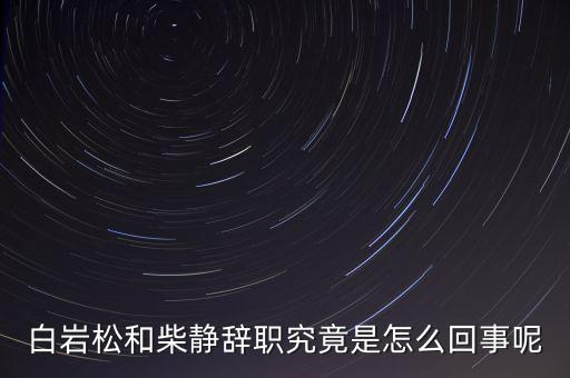 柴靜為什么辭職，白巖松和柴靜辭職究竟是怎么回事呢